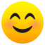 Smiling face with smiling eyes :blush: ๐
